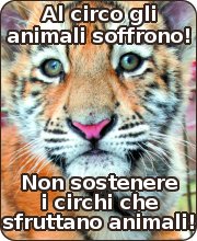 Campagna Circhi