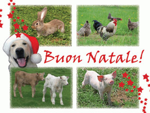 Cartolina di Natale che raffigura un cane e altri animali