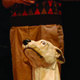 Cast zoran e il cane di porcellana