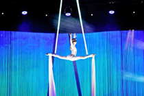 Alis, circo contemporaneo, senza animali