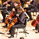 Orchestra da camera del Teatro Verdi