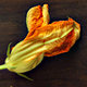 Fiore di zucca
