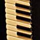 Fisarmonica