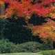 Foto giardino di Adriano Perini