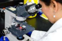 Microscopio