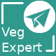 Logo VegExpert