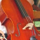 Violoncello