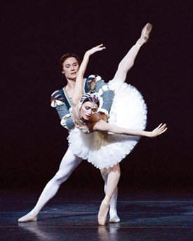 Gran Galà Cigno Nero