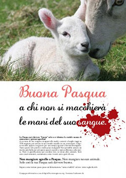 Manifesto con agnello per una Pasqua senza crudeltà