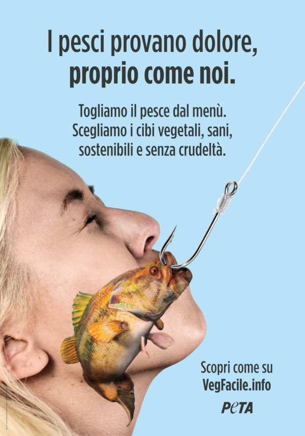 I pesci provano dolore