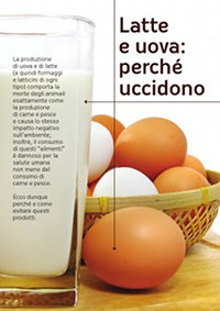 Latte e uova - perch uccidono