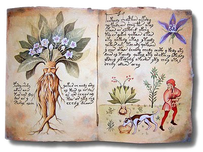 Libro di piante medicinali