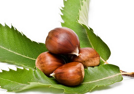 castagne