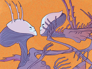 Manifesto del festival Trieste Science+Fiction