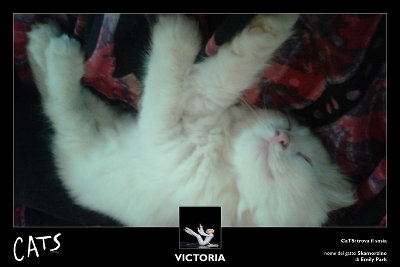 Musical CaTS: trova il sosia. Primo classificato