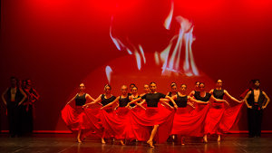 Spettacolo Burn burn burn scuola di danza sportiva e coreografica Club Diamante FVG