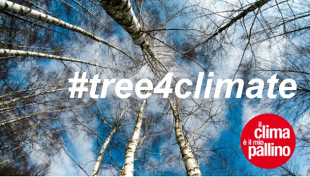 Logo tree4climate