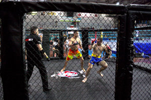 Trieste in the Arena, Mixed Martial Arts