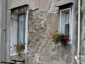 Scorcio di Trieste: finestre fiorite