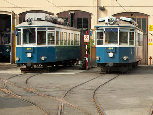 Il tram di Opicina, detto 'Tram de Opcina'