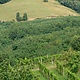 Collio goriziano: foto 03 di 9