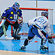 Hockey Inline: foto 11 di 18