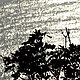 Sentiero Rilke: foto 05 di 12